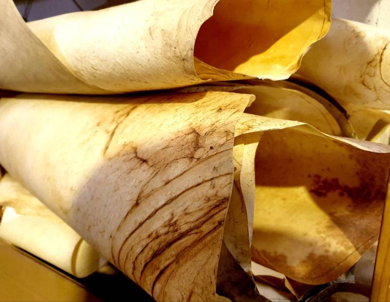 Votre tambour chamanique sur mesure avec l'atelier du marchand de notes à La seyne sur mer près de Nice