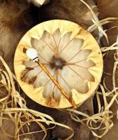 Nos prestations sur le secteur de Nice (06) Alpes-Maritimes