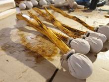 Nos prestations sur le secteur de Toulon (83) Var